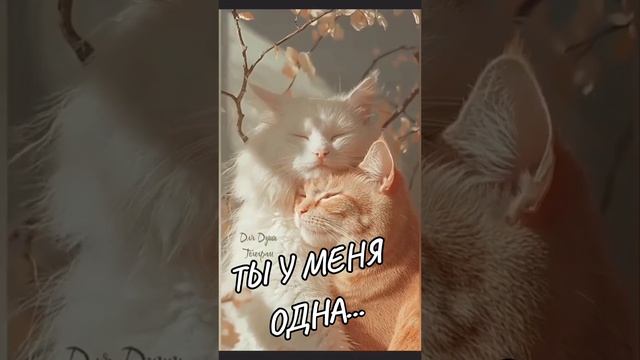 VID_20250622_105106_816.mp4