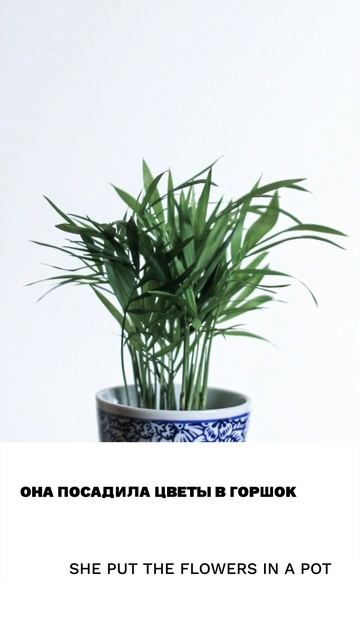 Горшок