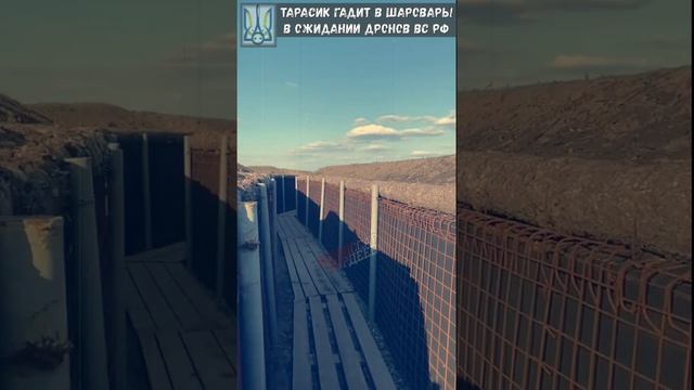 Вот такую "антидроновую" защиту построила киевская хунта за 20 миллиардов гривен для Тарасиков