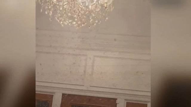 Лев в Шоке от Такой Наглости / Случаи с Животными на Камеру