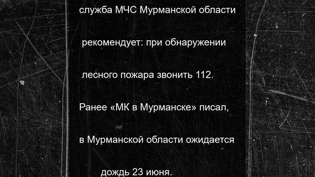 В Мурманской области объявили 4 класс пожарной опасности