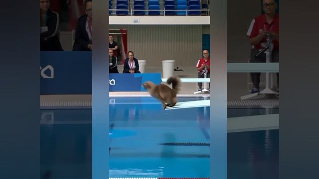 1000021040.mp4