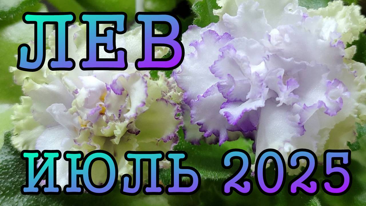 ЛЕВ таро прогноз на ИЮЛЬ 2025 года.