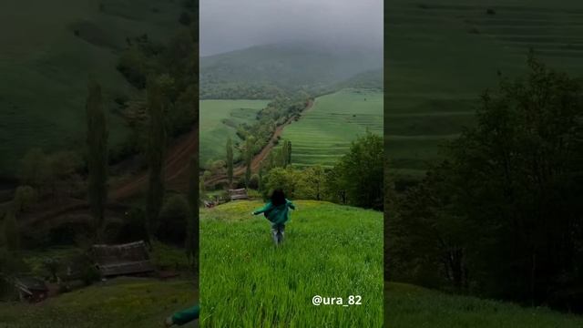 МУЗЫКА МИРОЗДАНЬЯ
