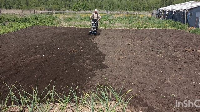 Вспашка земли.