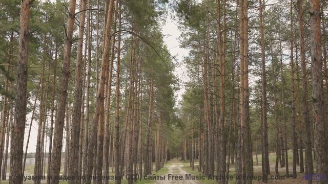 Леса и поля под этот трек - взрыв ощущений - Pride -- Ketsa -- The New World