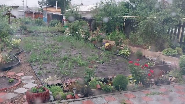 У природы нет плохой погоды!🤩