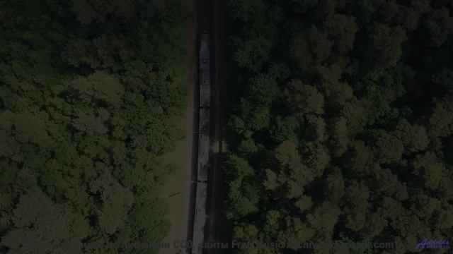Когда дорожные знаки менее важны, чем её смех под эту песню - Incoming -- Ketsa -- Equinox Rising