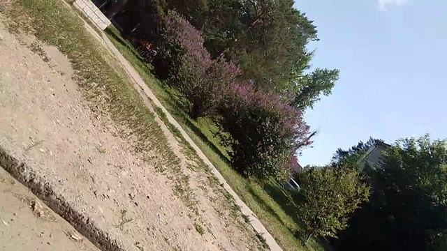 1000044745.mp4