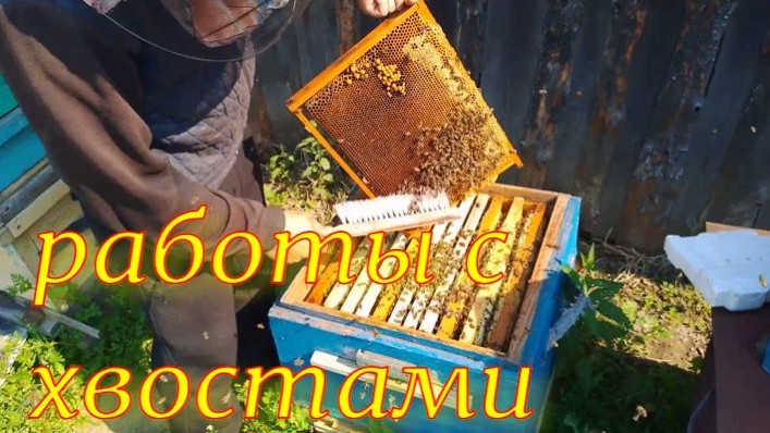 работы с хвостами