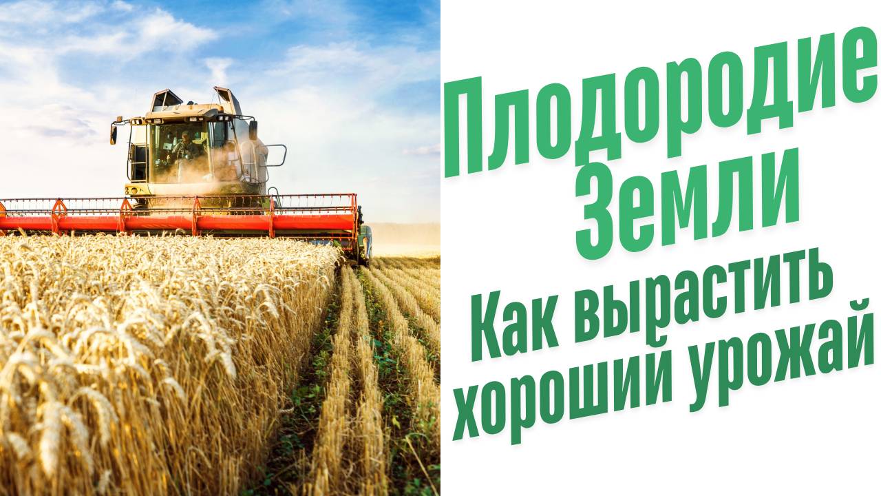 как вырастить хороший урожай.