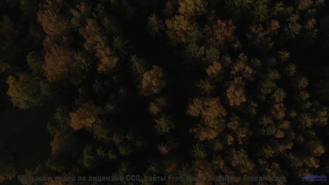 Это видео - как погружение в океан спокойствия! - Track 06 -- Berbere Superstar -- The Best Things A