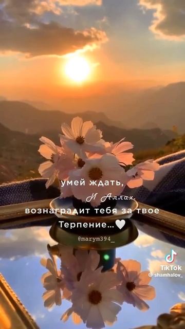 цитата