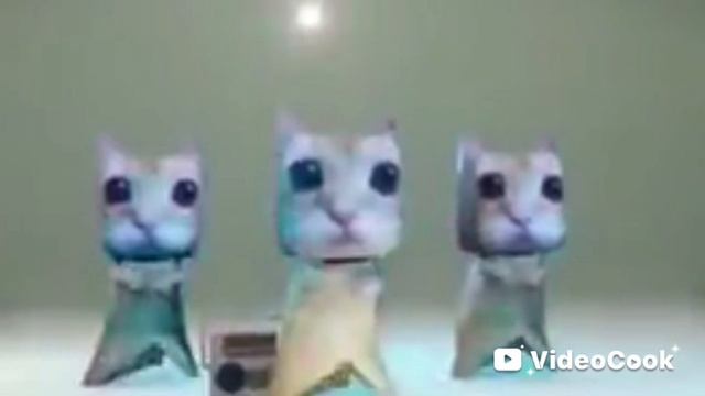20 минут танцуют котики🤣😂😆