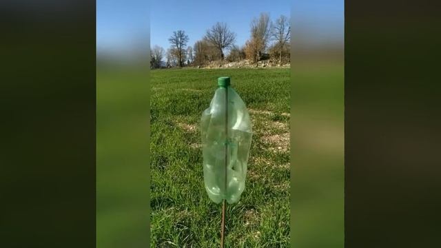Отпугиватель кротов
