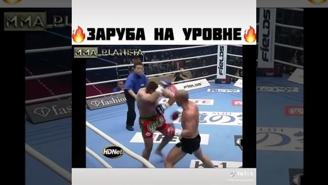 Бой века!!! Майк Замбидис vs Шахида Оулада.