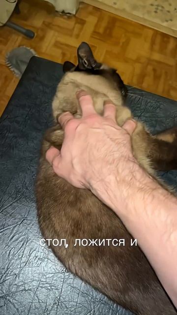 Массаж
