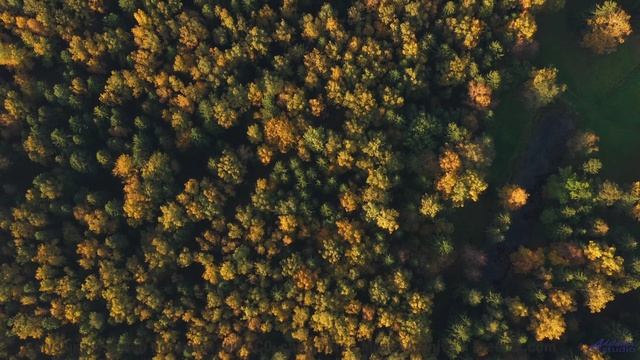 Песня, которая начинается с запуска двигателя и не заканчивается никогда - Old Time Brutes -- Plates