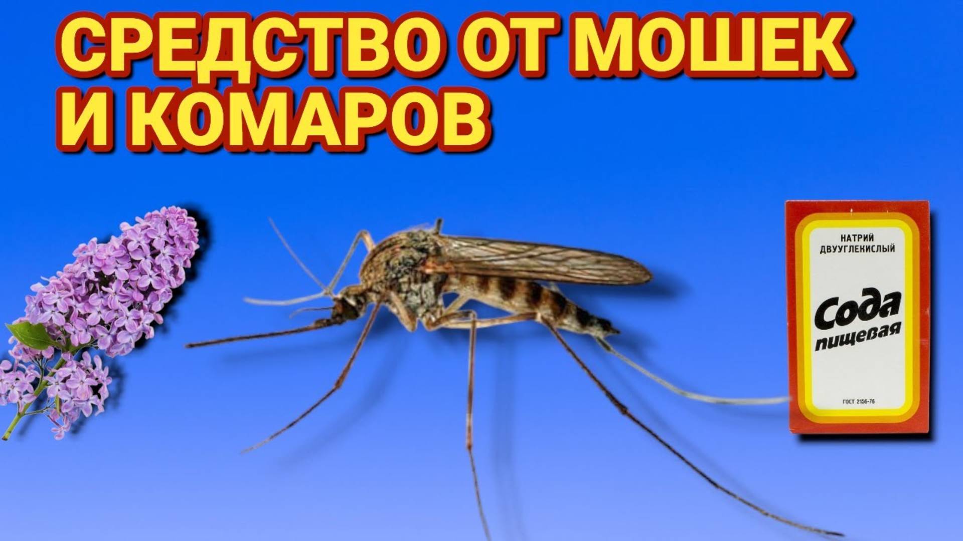СУПЕР СРЕДСТВО ОТ МОШЕК И КОМАРОВ, бесплатно и эффективно