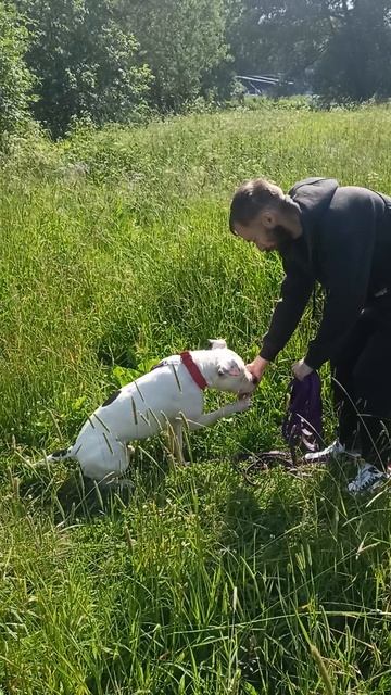 Климент. Шереметьевский приют.