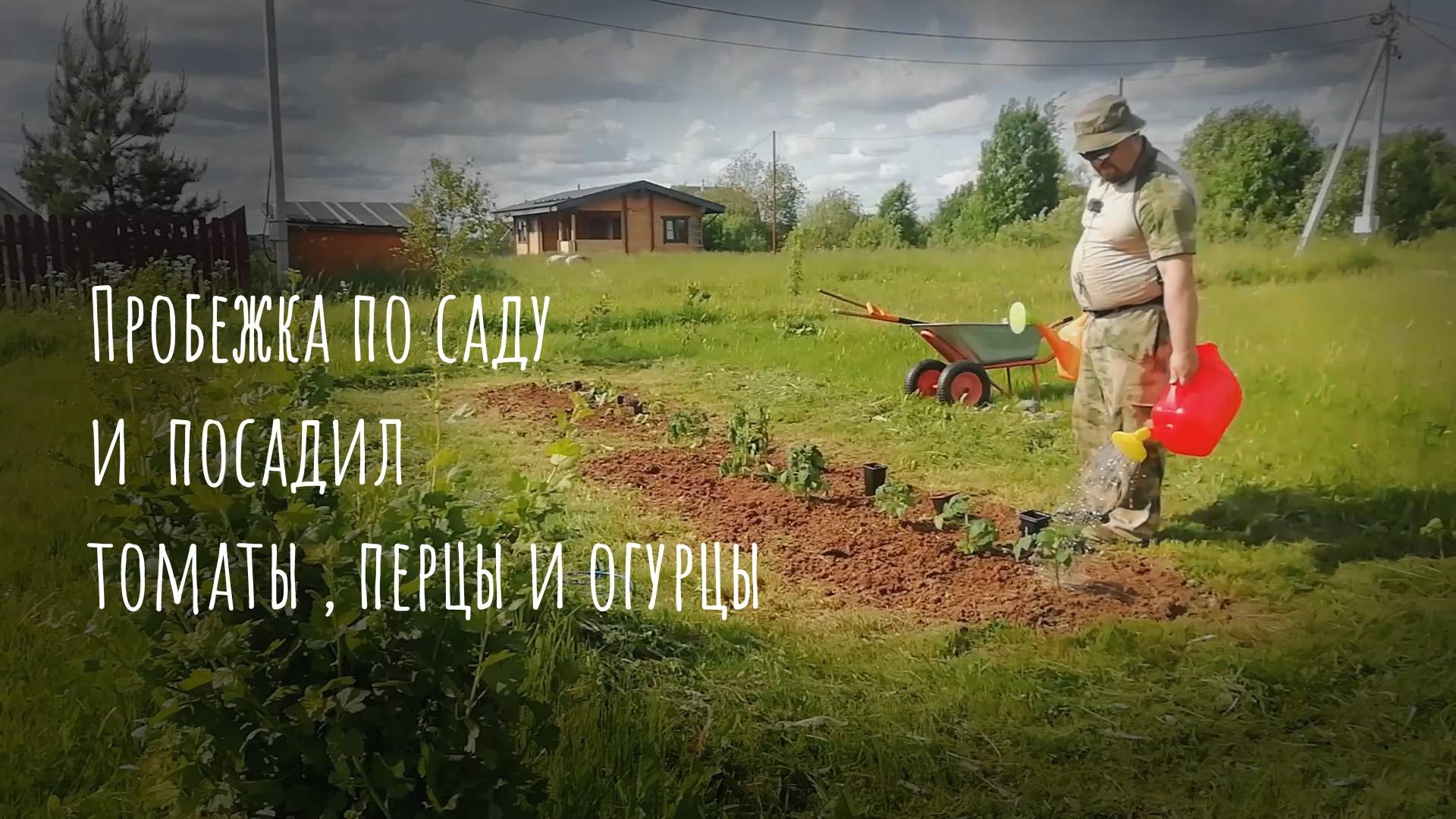 07.06.2025 Пробежал по саду и посадил томаты, перцы и огурцы.