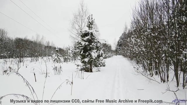 Эта музыка ВЫЗЫВАЕТ видения! - Chaudes larmes dun reporter candide -- Fourmi -- LAlunissage des frag