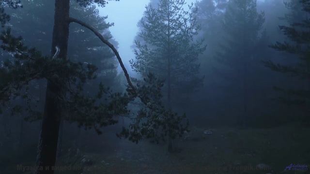 Музыка, заменяющая антидепрессанты - работает! - Et In Arcadia Ego -- AKMV-18 -- Unnamed album