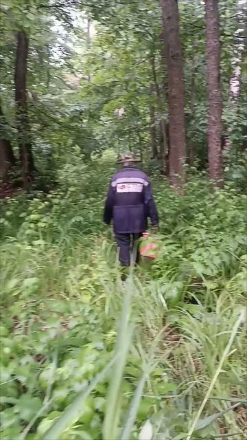 Заблудились