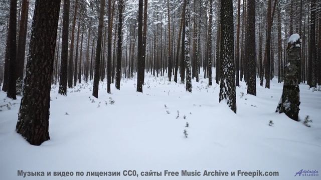 Видео, которое нельзя смотреть без нейроимплантов - или можно - Blood (Instrumental) -- Anthem of Ra