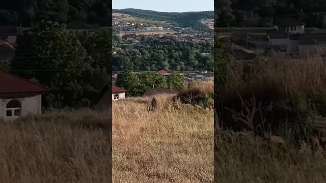 продаëтся участок в Пионерском