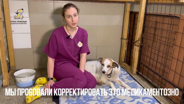 У Евиты проходит период реабилитации. Поддержать⬇️
