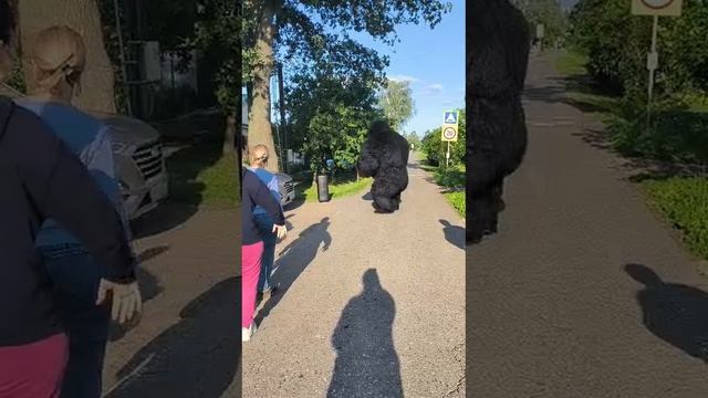 1000011331.mp4