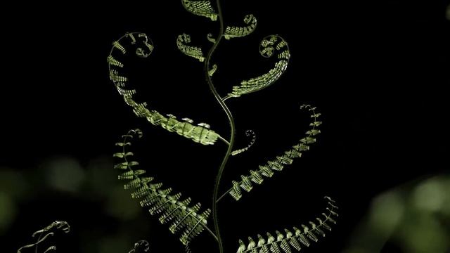 Обновлённая Всеисцеляющая Матрица Гаряева 2025 | Редкая матрица Петра Гаряева Последняя оригинальная