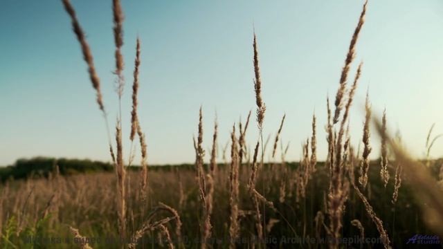 Ты НЕ ДОГАДАЕШЬСЯ, где это снято! - On y va -- M33 Project -- Unnamed album
