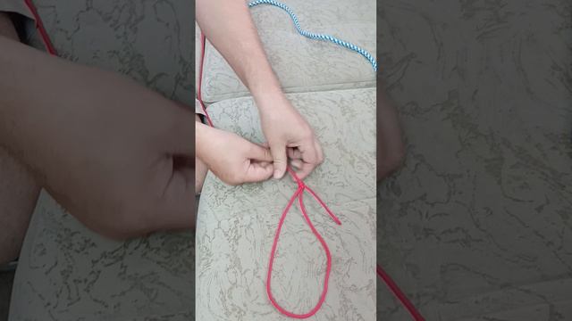 1000012279.mp4