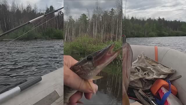 Рыбалка . ВЫ все ловите по старому ?