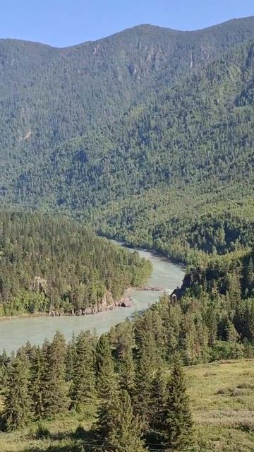 Природный замок на Катуни: Каменный полумесяц в русле реки 🌙🏞️