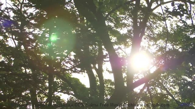 Лес, грязь под колёсами и ритм, который не даёт остановиться! - Elements Of Bliss -- Blue Sky Moon -