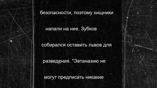 Вскрылись жуткие подробности нападения львов на владельца "Тайгана"