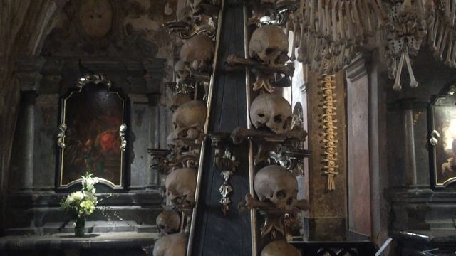6158366-hd_1920_1080_30fps