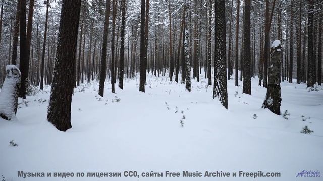 Эта мелодия раскрасит даже серые поля - Boardwalk -- HoliznaPATREON -- Summer Series
