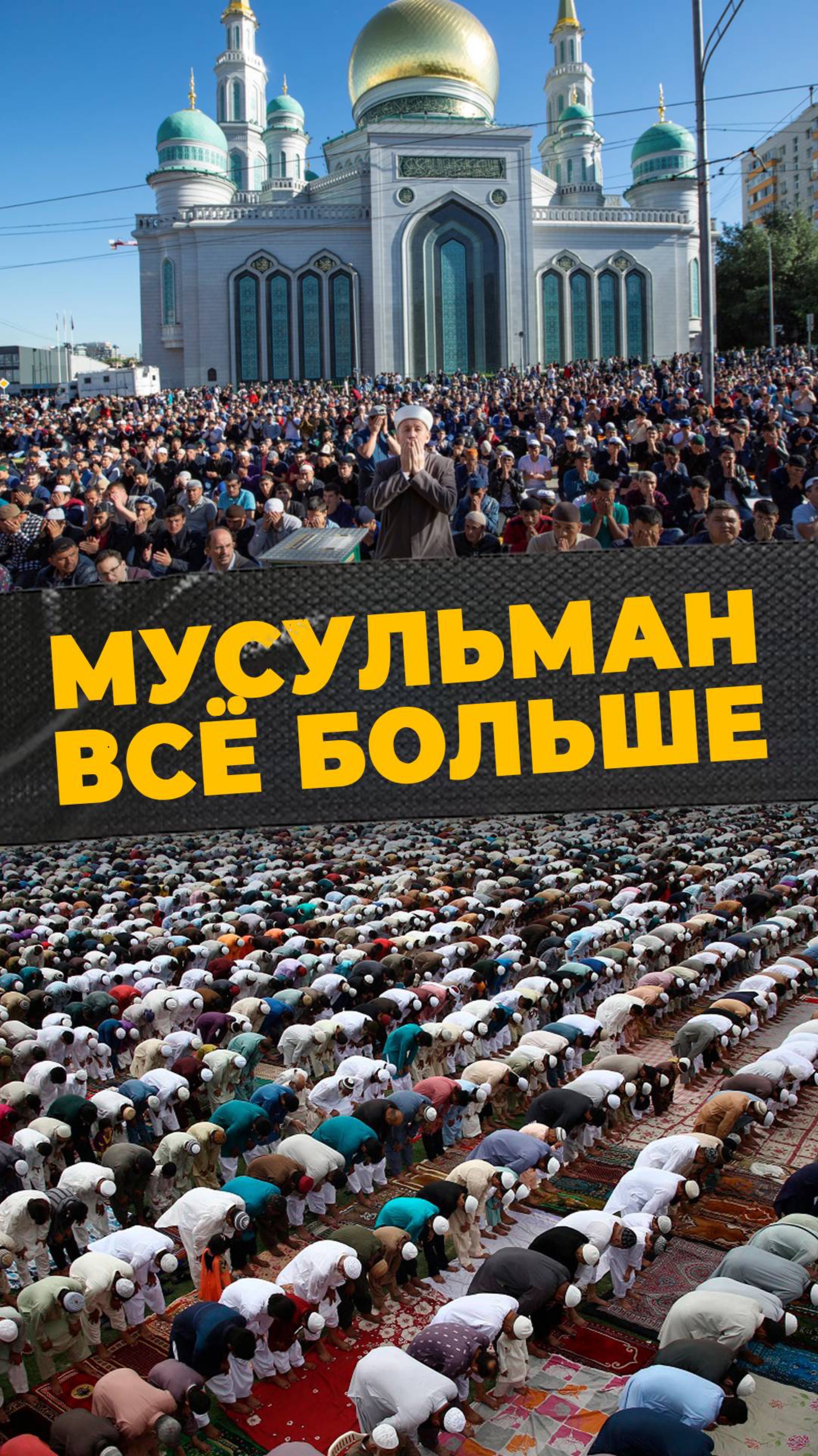 БЫСТРЫЙ РОСТ
#мирадио