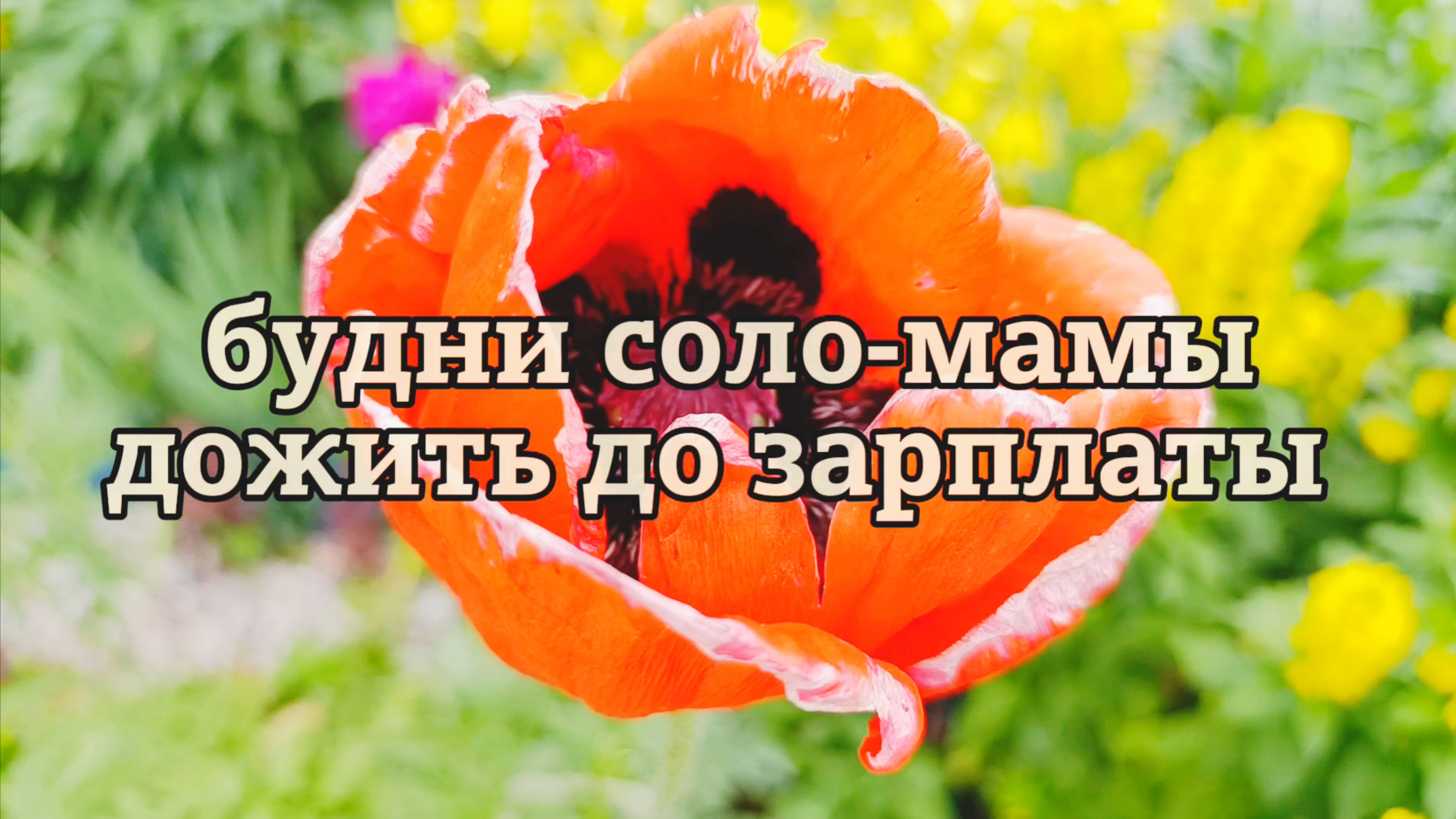 ОДНА С ДВУМЯ ДЕТЬМИ КАК ДОЖИТЬ ДО ЗАРПЛАТЫ