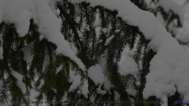 Такой красоты под такой трек вы точно не видели - anxious darlin -- Tinmouth -- Surprise time