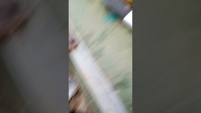 1000010353.mp4