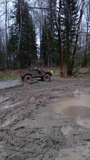 VID-20241105-WA0004