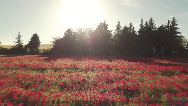 Песня, от которой по коже бегут мурашки страсти... - We Were Dreamers -- Scott Holmes Music -- Inspi