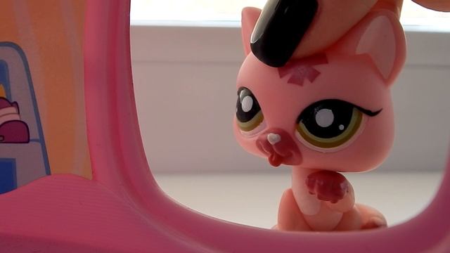 LPS: минутки из жизни (сестринские баталии)