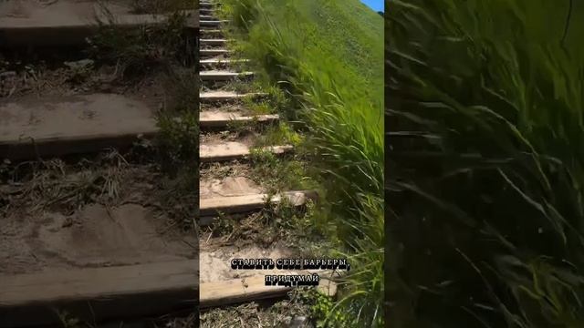 тенденции дня