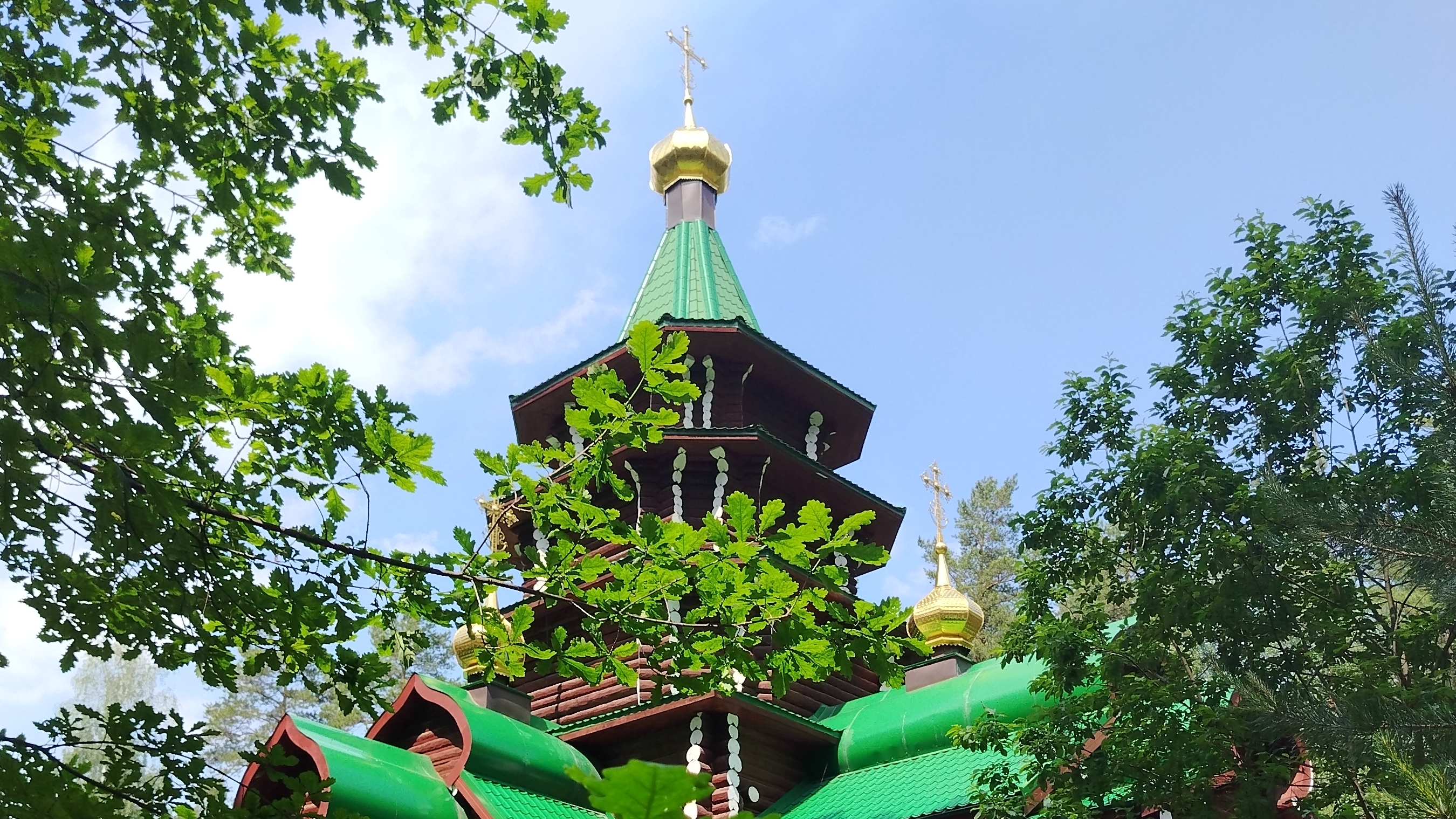 Лес
